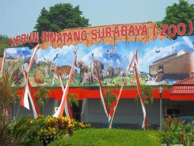 10 Gambar Kebun Binatang Surabaya KBS, Harga Tiket Masuk 